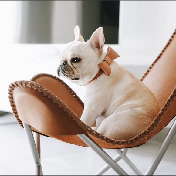 Meet your Posher, Vida - Picture 6 of 7